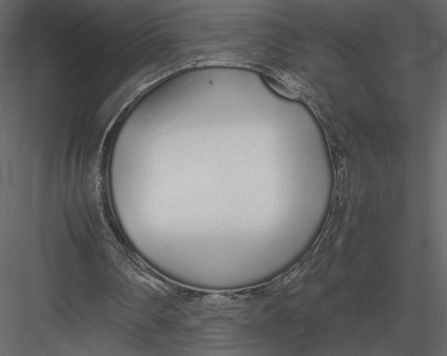 X0000083000290200702230134