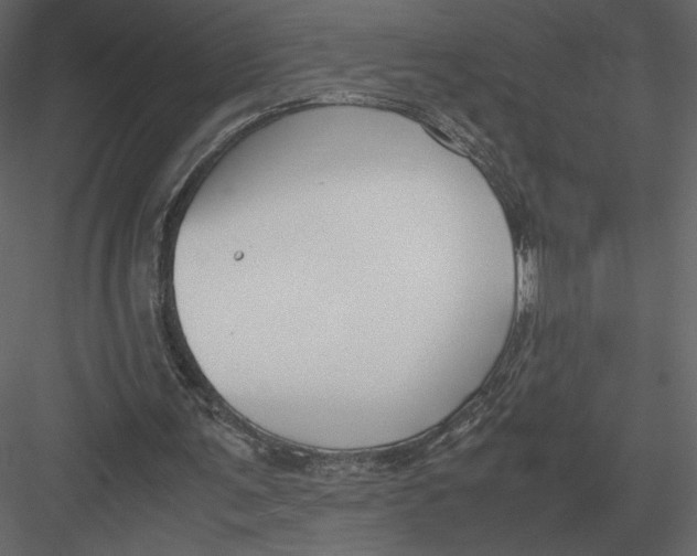 X0000083000291200702230134