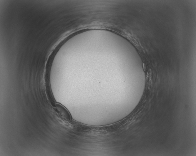 X0000083000292200702230134