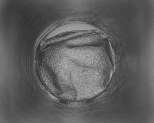 X0000083000293200702230134