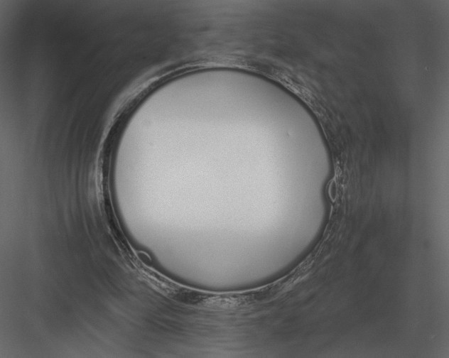 X0000083000294200702230134