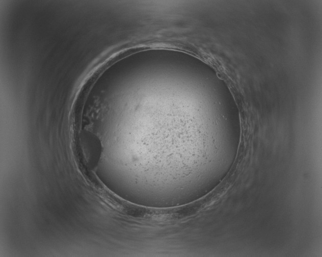 X0000083000295200702230134