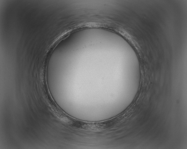 X0000083000297200702230134