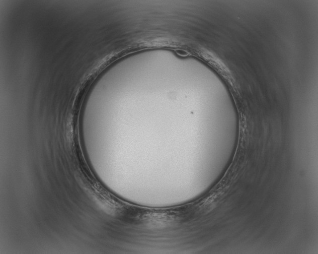 X0000083000298200702230134