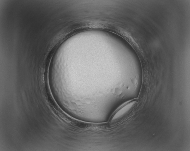 X0000083000299200702230134