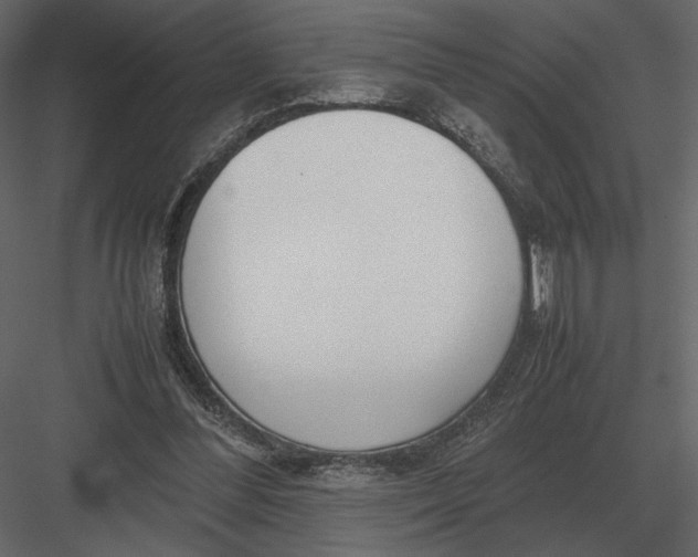 X0000083000300200702230134