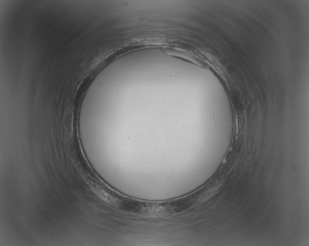 X0000083000301200702230134