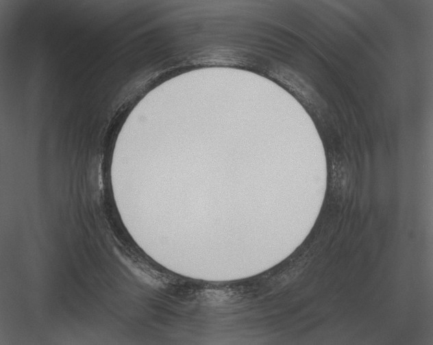 X0000083000302200702230134