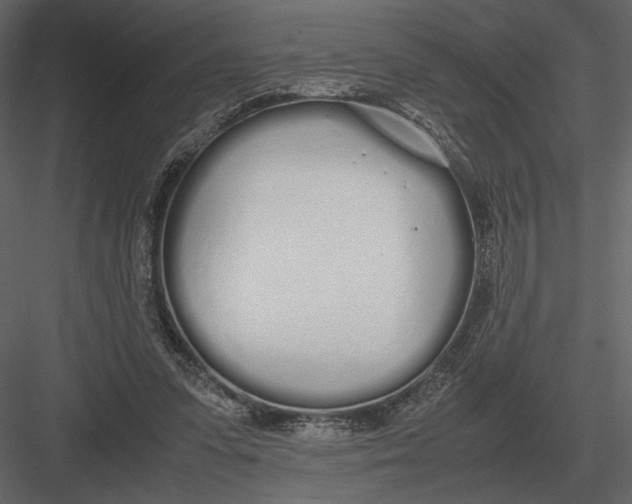 X0000083000303200702230134