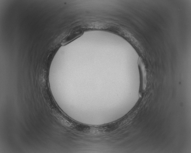 X0000083000305200702230134