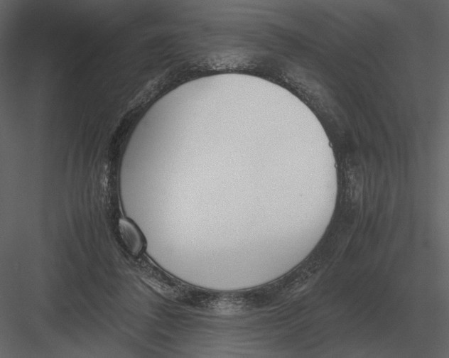 X0000083000308200702230134