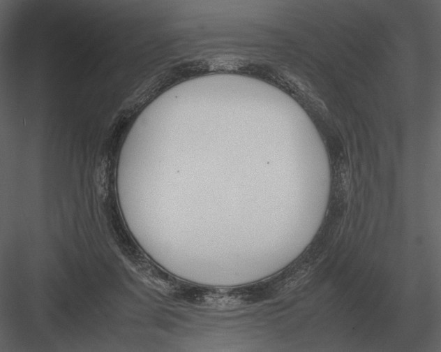 X0000083000311200702230134