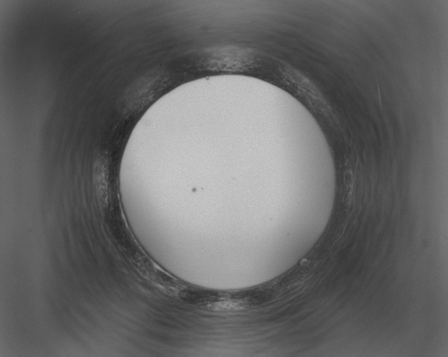 X0000083000312200702230133