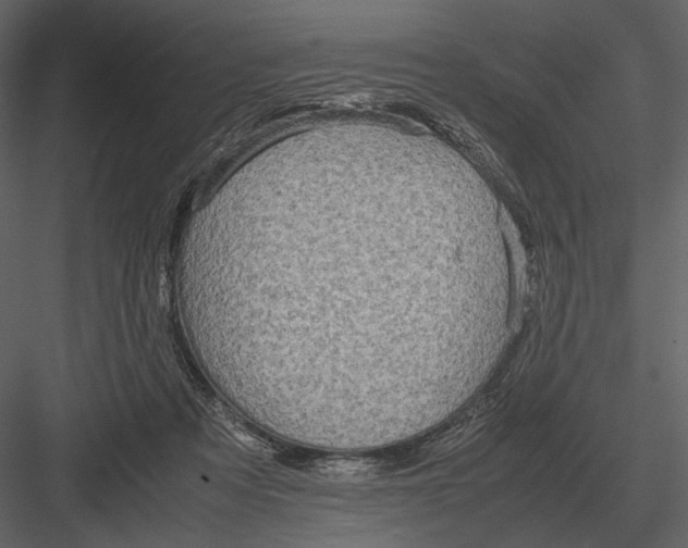 X0000083000313200702230133