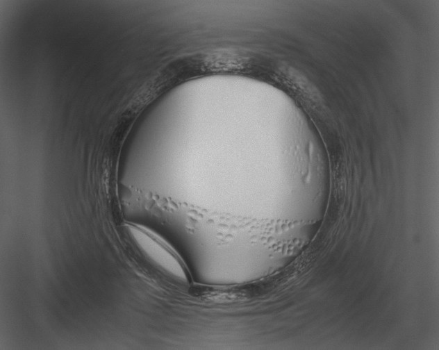 X0000083000315200702230133