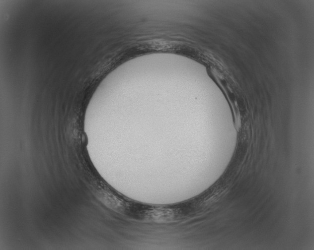 X0000083000317200702230133