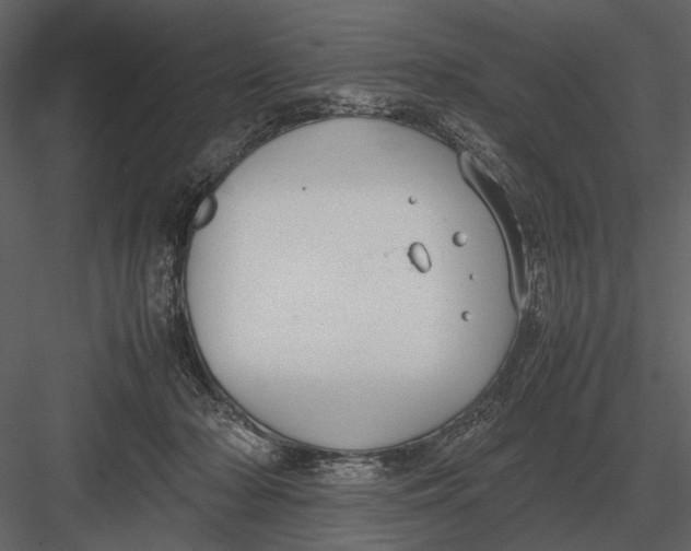 X0000083000318200702230133