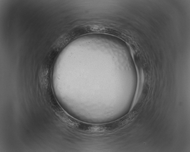 X0000083000319200702230133