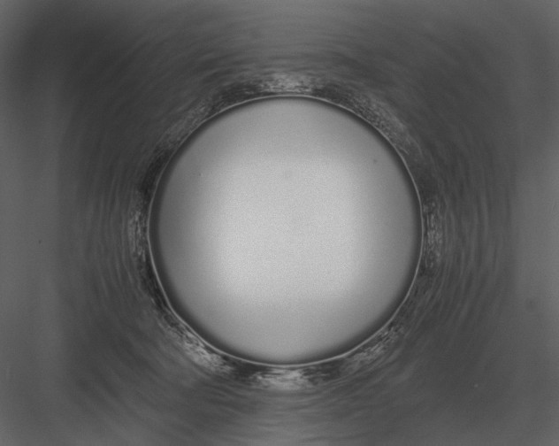 X0000083000322200702230133