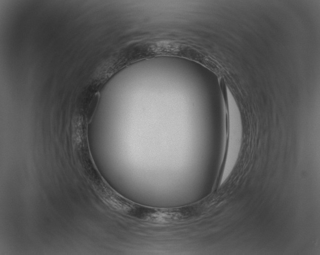 X0000083000323200702230133