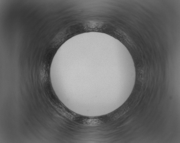 X0000083000324200702230133