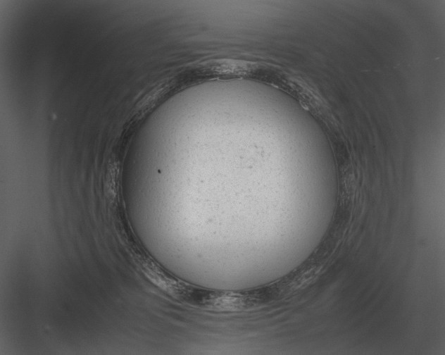 X0000083000325200702230133