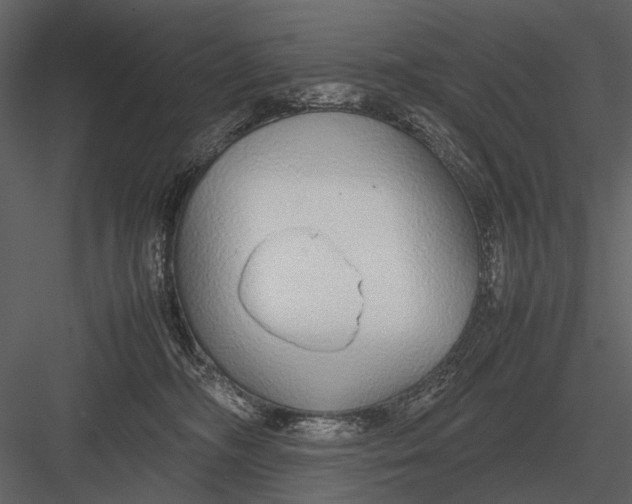 X0000083000326200702230133