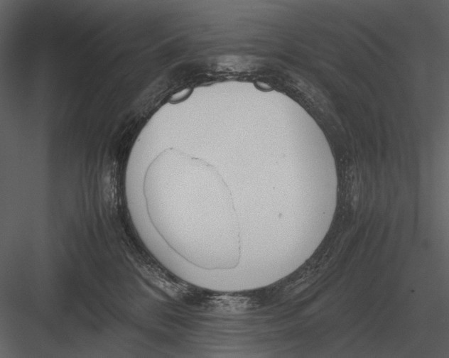 X0000083000328200702230133