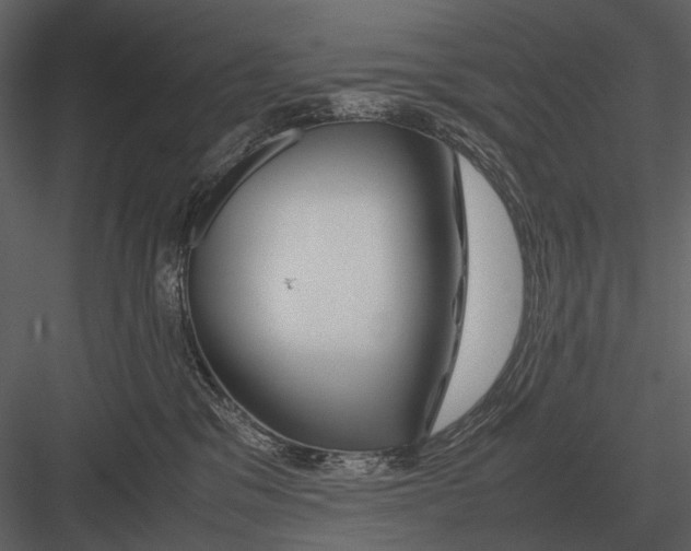 X0000083000329200702230133