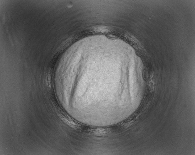 X0000083000330200702230133