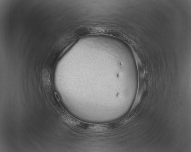 X0000083000331200702230133