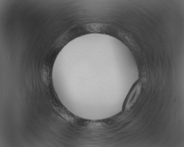 X0000083000332200702230133