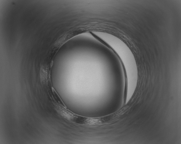 X0000083000333200702230133