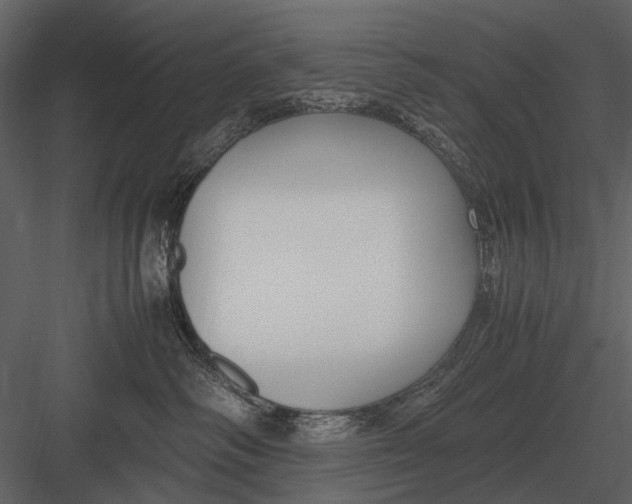 X0000083000334200702230133