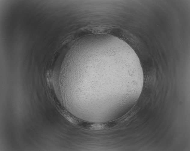 X0000083000335200702230133