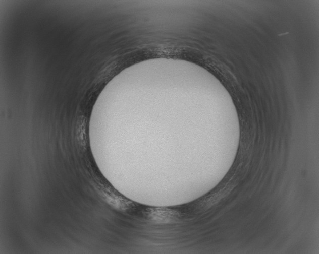 X0000083000336200702230133