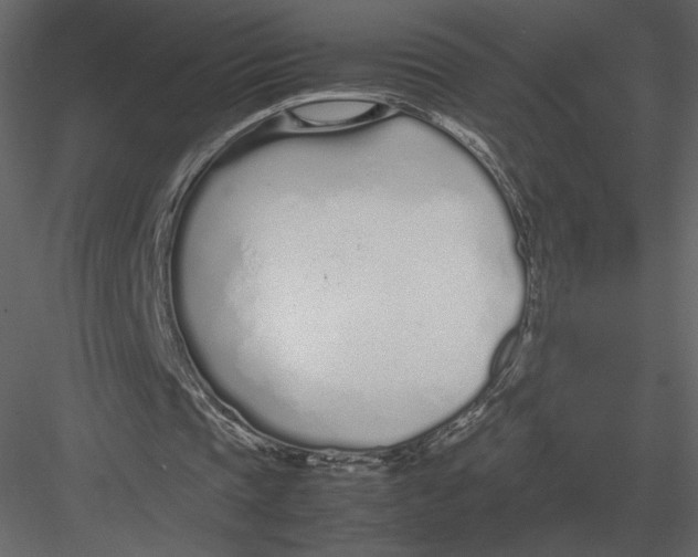 X0000083000337200702230132