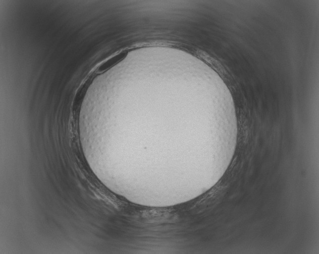 X0000083000338200702230132