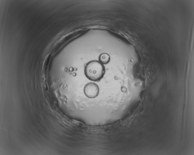 X0000083000339200702230132