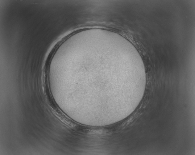 X0000083000342200702230132