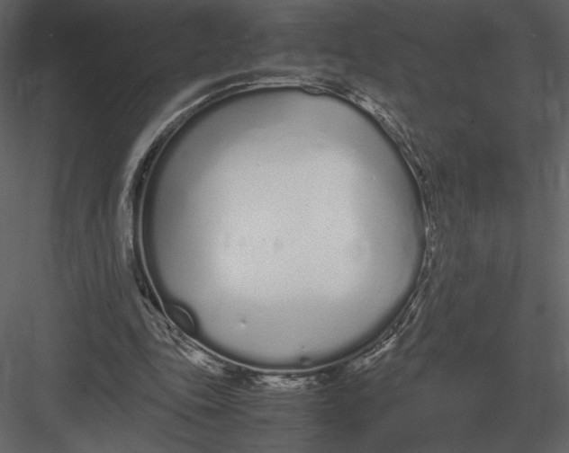 X0000083000343200702230132