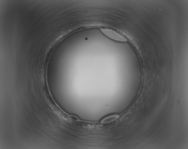 X0000083000345200702230132