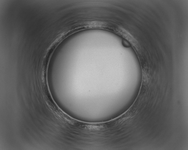 X0000083000347200702230132