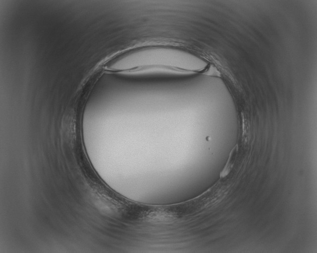 X0000083000348200702230132