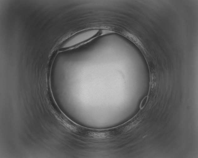 X0000083000349200702230132