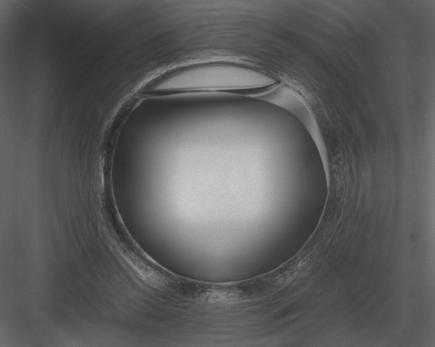 X0000083000350200702230132