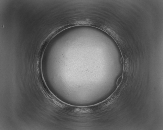 X0000083000351200702230132