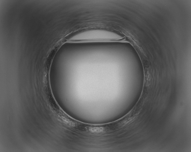 X0000083000355200702230133