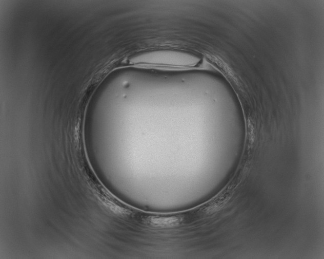 X0000083000357200702230133