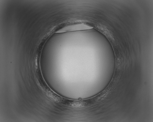 X0000083000358200702230133